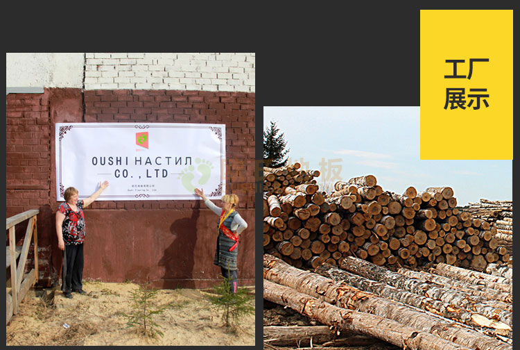 體育館運(yùn)動(dòng)木地板招標(biāo)文件（運(yùn)動(dòng)木地板招標(biāo)）