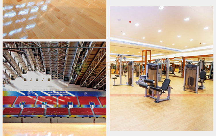 體育館運(yùn)動(dòng)木地板招標(biāo)文件（運(yùn)動(dòng)木地板招標(biāo)）