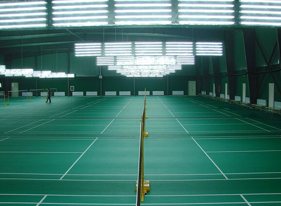 體育地板,體育木地板