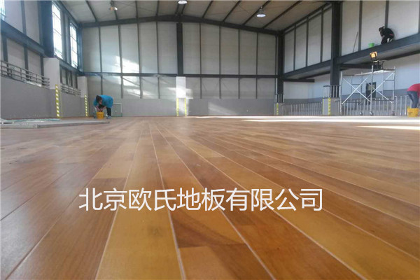 烏蘭巴托某學校運動木地板工程 烏蘭巴托某學校運動木地板工程