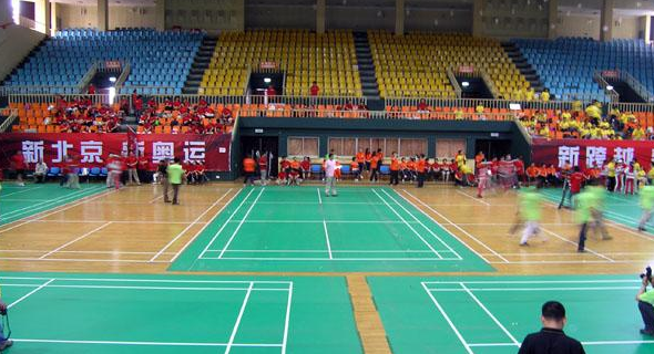 室內(nèi)運(yùn)動(dòng)地板 室內(nèi)運(yùn)動(dòng)地板