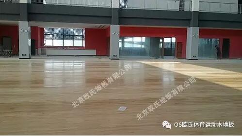 安徽蚌埠市懷遠全民健身活動中心楓木一級三拼板案例-圖4 安徽蚌埠市懷遠全民健身活動中心楓木一級三拼板案例-圖4