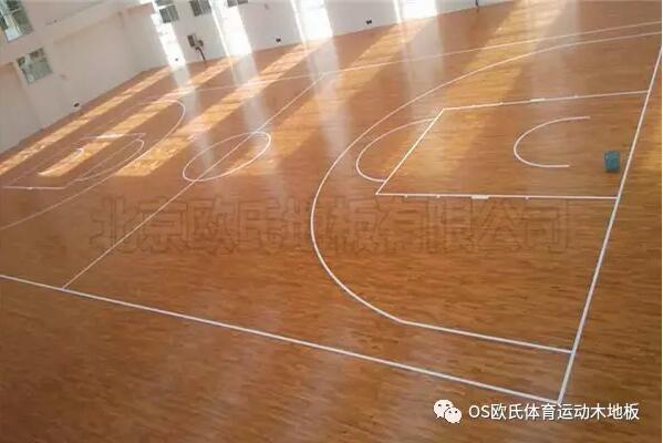 云南富寧縣高原體能訓練館成功案例-2 云南富寧縣高原體能訓練館成功案例-2