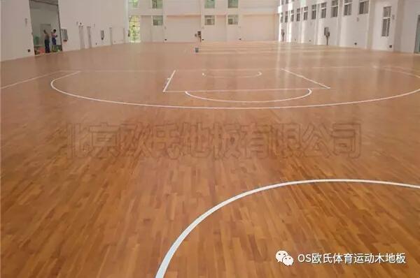 云南富寧縣高原體能訓練館成功案例-4 云南富寧縣高原體能訓練館成功案例-4