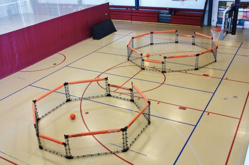 國內體育運動木地板為什么要選歐氏? 國內體育運動木地板為什么要選歐氏?