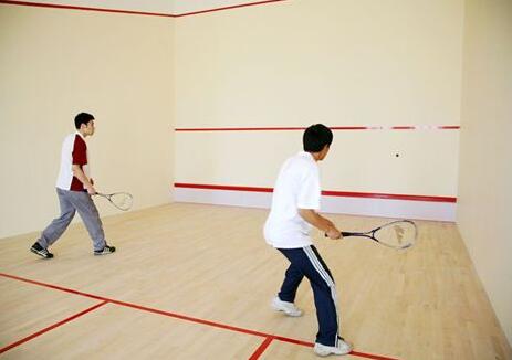 建個壁球館的價格是多少? 建個壁球館的價格是多少?