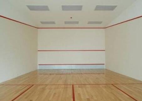 建個壁球館的價格是多少? 建個壁球館的價格是多少?