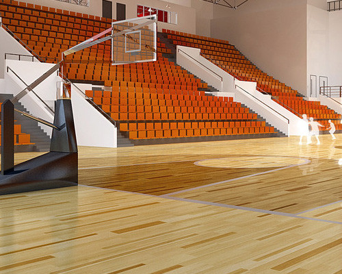 體育木地板 體育木地板