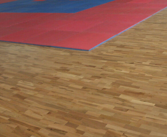 體育運(yùn)動地板