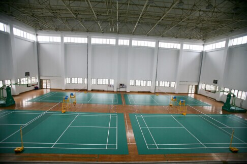 體育木地板 體育木地板