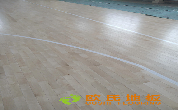內(nèi)蒙古呼和浩特賽罕區(qū)師范大學(xué)體育學(xué)院訓(xùn)練館運(yùn)動(dòng)木地板案例-歐氏運(yùn)動(dòng)木地板