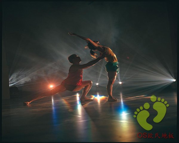 歐氏舞蹈木地板 歐氏舞蹈木地板